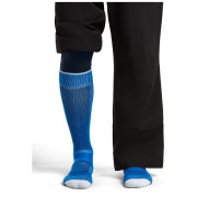 Чоловічі шкарпетки Icebreaker Men Merino Blend Ski+ Medium OTC
