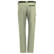 Чоловічі штани Regatta Xert Stretch Trousers