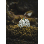 Мішечок для магнезії Midnight Lightning Chalktopus