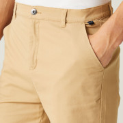Чоловічі шорти Regatta Sabden Short