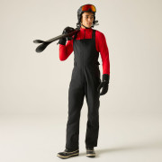 Чоловічі штани Dare 2b Twin Tip Bibbed Pant