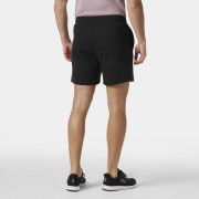 Чоловічі шорти Helly Hansen Hh Terry Loop Shorts