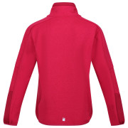 Дитяча толстовка Regatta Jr Highton FZ IV