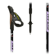 Палиці Fizan NW Speed