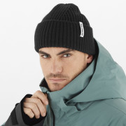 Шапка Salomon Snowbird Beanie U