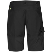 Чоловічі шорти Fjällräven Abisko Shorts M