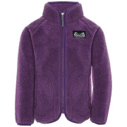 Дитяча толстовка Didriksons Gibbs Kids Fullzip 2 Northen Purple фіолетовий Northen Purple
