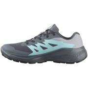 Жіночі черевики Salomon Alphaglide Gore-Tex