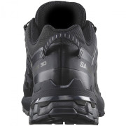 Чоловічі туристичні черевики Salomon Xa Pro 3D V9 Gore-Tex