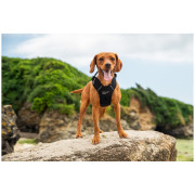 Шлея для собаки Mountain Paws Dog Harness