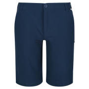 Чоловічі шорти Regatta Highton ShortLong