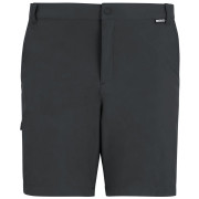 Чоловічі шорти Regatta Anti-Insect Travel Light Shorts сірий Ash