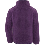Дитяча толстовка Didriksons Gibbs Kids Fullzip 2 Northen Purple