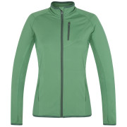 Жіноча толстовка Husky Tarp Zip L (2022) зелений