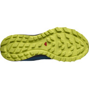 Pánské boty Salomon Trailster 2 Gtx