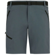 Чоловічі шорти Regatta Xert Stretch Shorts сірий Dark Storm