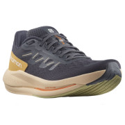 Жіночі кросівки Salomon Spectur W