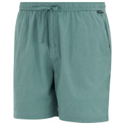 Чоловічі шорти Regatta Hadlin Shorts
