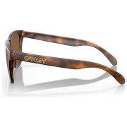 Сонцезахисні окуляри OAKLEY Frogskin Prizm Tungsten