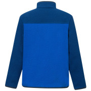 Дитяча функціональна толстовка Regatta Junior Frankie Warm Fleece Aviator Blue