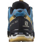 Чоловічі кросівки Salomon Xa Pro 3D V8 M