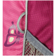 Дитячий рюкзак Boll Roo 12l