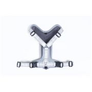 Шлея для собаки Mountain Paws Reflective Dog Harness