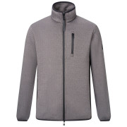 Чоловіча кофта Regatta Brayleigh сірий/чорний Ash/Black
