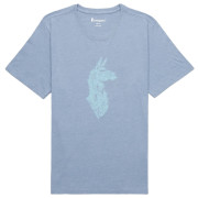 Чоловіча футболка Cotopaxi Into the Pines T-Shirt синій foam