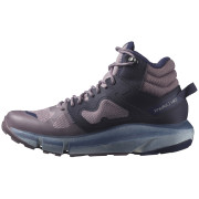 Жіночі черевики Salomon Predict Hike Mid Gore-Tex