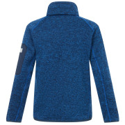 Дитяча толстовка Regatta Junior Newhill Aviator Blue Golden Cypress