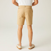Чоловічі шорти Regatta Sabden Short