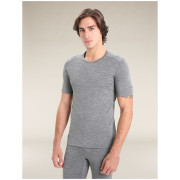 Чоловіча футболка Icebreaker Men 200 Oasis SS Crewe