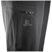 Жіночі штани Salomon Wayfarer Pant W