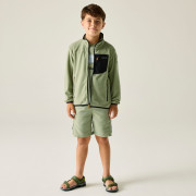 Дитяча толстовка Regatta Junior Frankie F/Z Light Sage