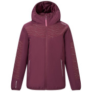 Дитяча зимова куртка Regatta Illuma Reflective Jacket Fig бордовий Fig