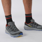 Чоловічі кросівки Salomon Sense Ride 4 Invisible Gtx