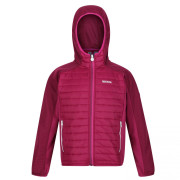 Дитяча куртка Regatta Kielder Hybrid V