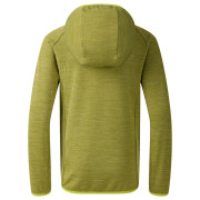 Дитяча куртка Dare 2b Expedition Midlayer GoldnCypress