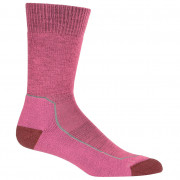Жіночі шкарпетки Icebreaker Women Hike+ Medium Crew рожевий