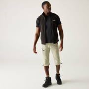 Чоловічі 3/4 штани Regatta Xert Stretch Capri