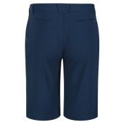 Чоловічі шорти Regatta Highton ShortLong