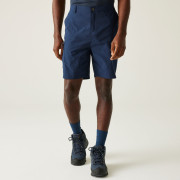 Чоловічі шорти Regatta Dalry Short