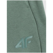 Чоловічі спортивні штани 4F Trousers Cas M1272