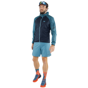 Чоловічі шорти Dynafit Alpine Shorts M