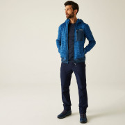 Чоловіча толстовка Regatta Alven