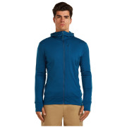 Чоловіча функціональна толстовка Icebreaker M Mer 260 Quantum IV LS Zip Hoodie