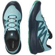 Чоловічі кросівки Salomon Pulsar Trail