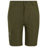 Дитячі штани Regatta Sorcer Z/O Trousers III Treetop
