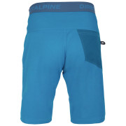 Чоловічі шорти Direct Alpine Campus Short 2022
